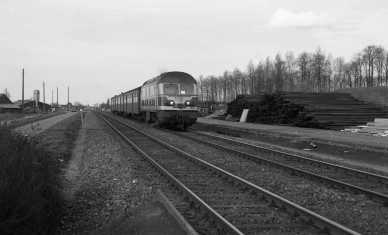 Gits - DIEU F0426 (3).jpg